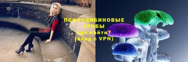 2c-b Михайлов