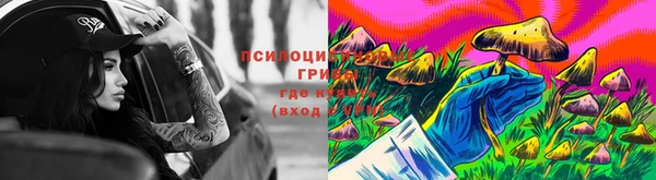 мдма Михайловск