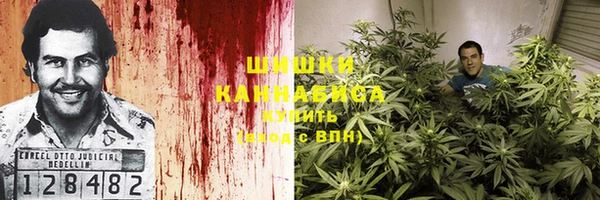 2c-b Михайлов