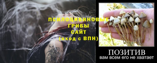 трава Абинск
