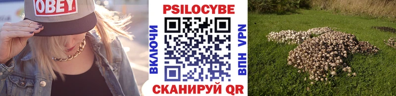 Галлюциногенные грибы GOLDEN TEACHER  Ялуторовск 